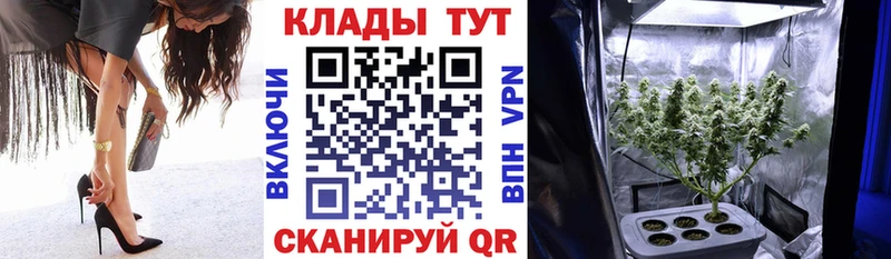  COCAIN Воскресенск
