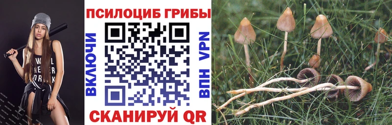 Купить  Воскресенск  Псилоцибиновые грибы Magic Shrooms 